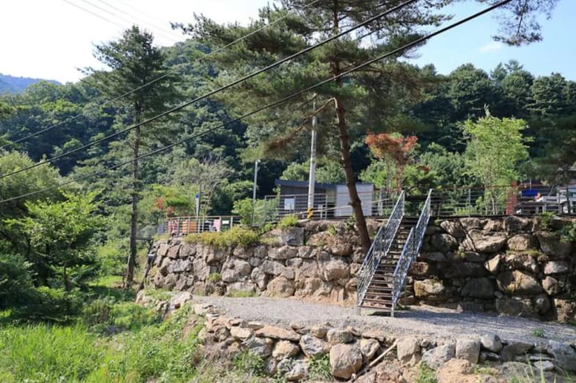 별숲캠핑장 사진 3
