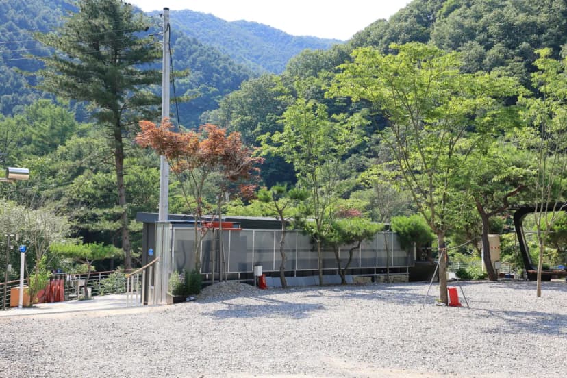 별숲캠핑장 사진 4