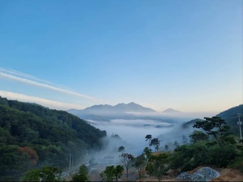 오도산 관광농원 사진 3