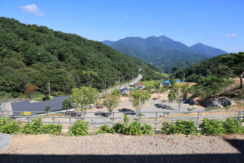 오도산 관광농원 사진 4