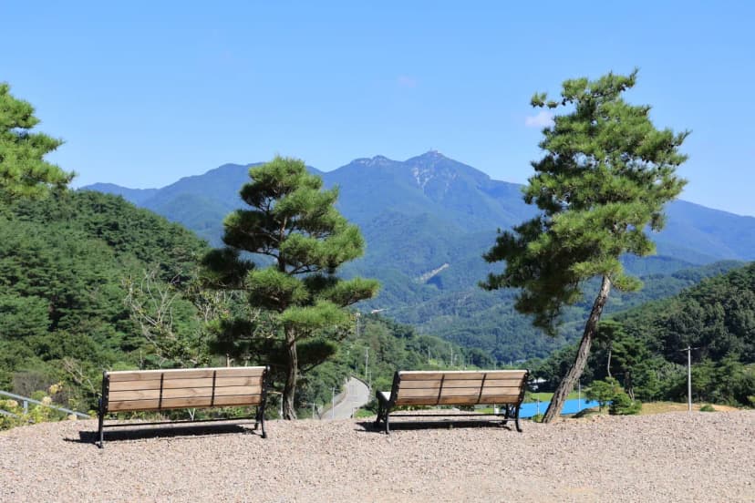 오도산 관광농원 사진 7