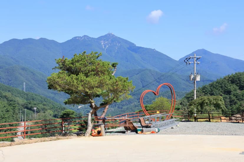 오도산 관광농원 사진 13