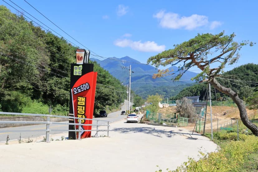 오도산 관광농원 사진 17