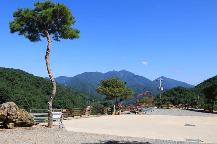 오도산 관광농원 사진 19