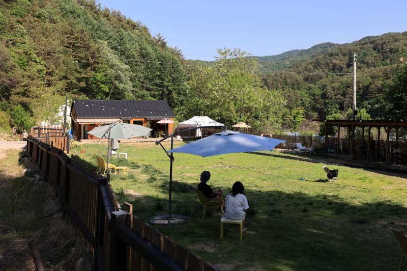 잼보리 캠프 사진 8