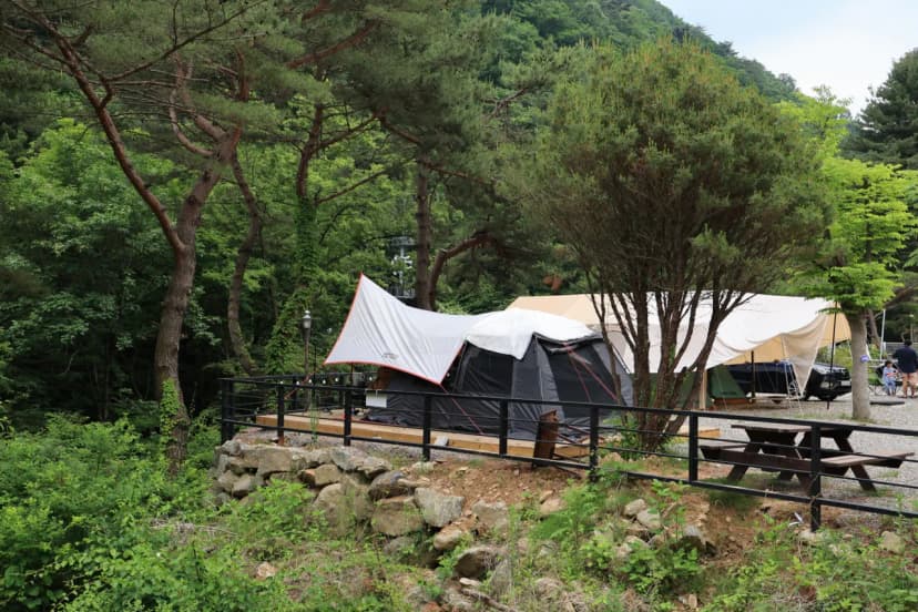 오케이캠핑장 사진 11