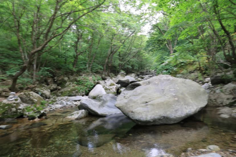 오케이캠핑장 사진 15