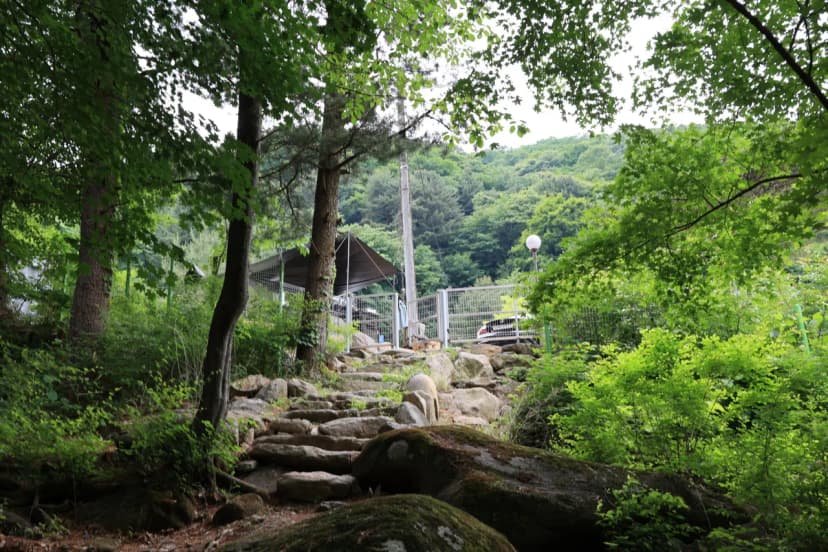 오케이캠핑장 사진 17