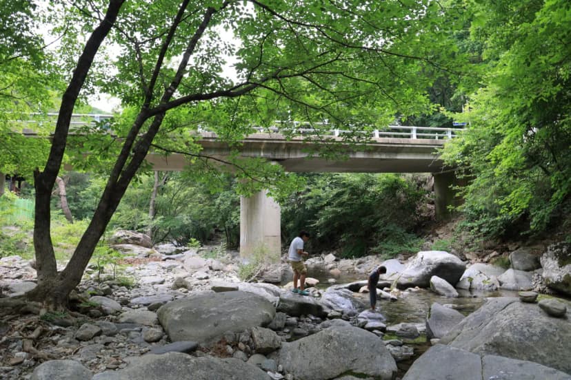 오케이캠핑장 사진 20