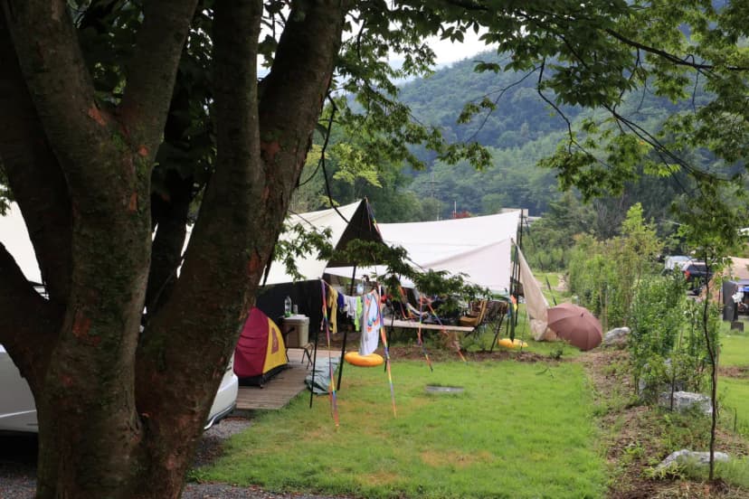 캠핑 포에버 사진 17