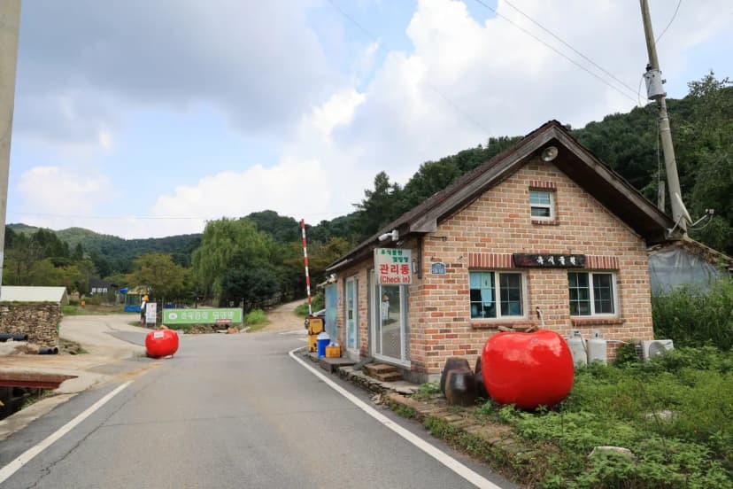 돈키호테캠핑 사진 9
