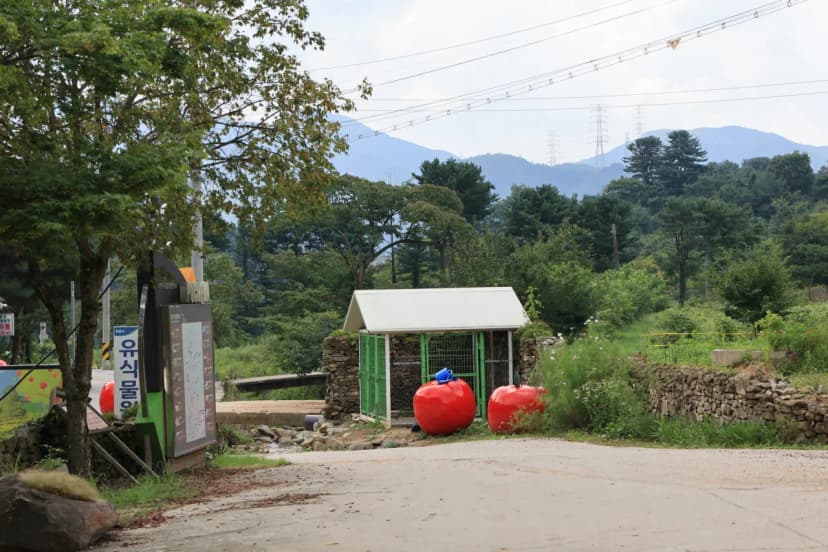 돈키호테캠핑 사진 12