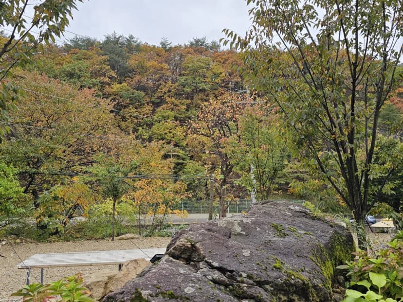 무심골 캠핑장 사진 11