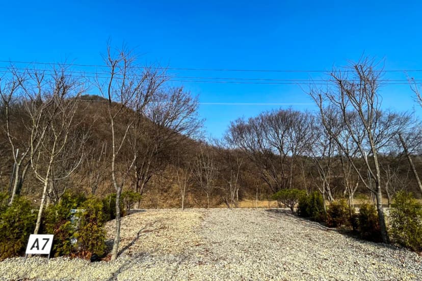 우니메이카 청주점 사진 15