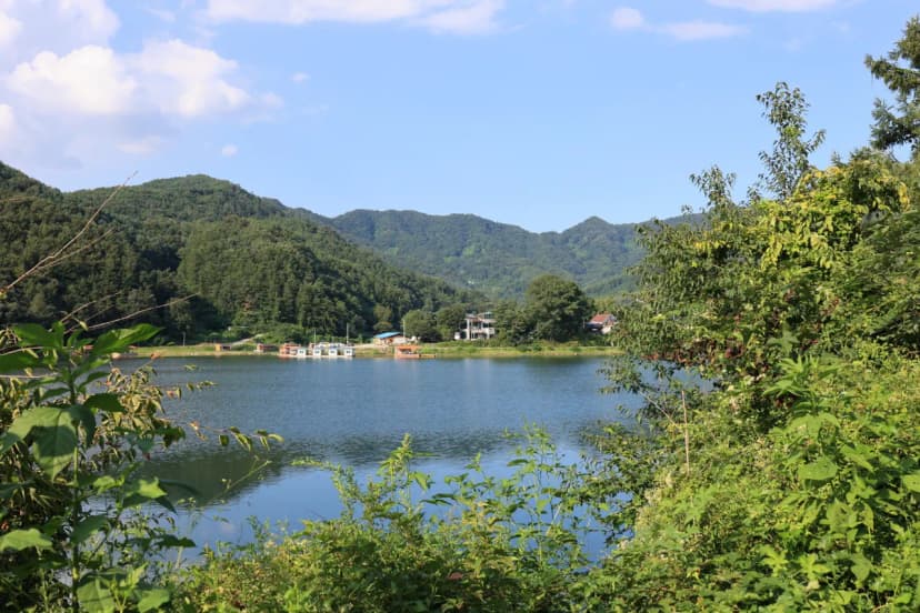 백설기캠핑장 사진 20