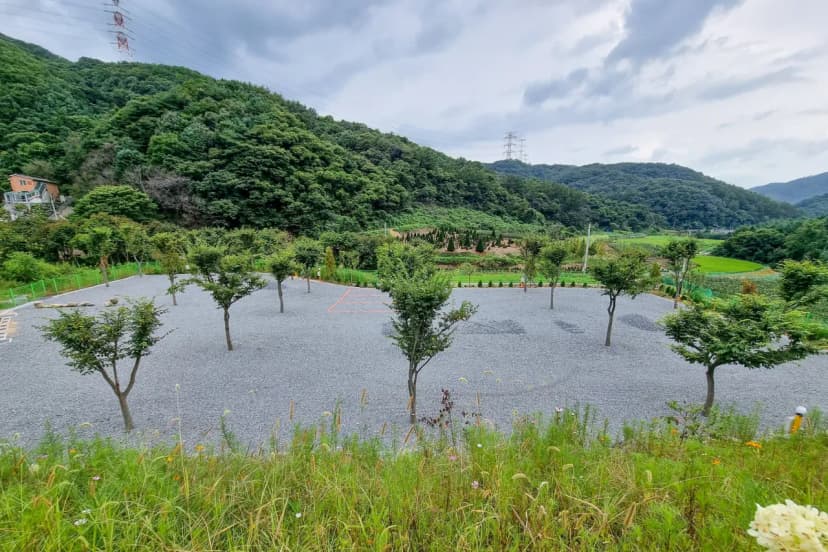요새불멍 사진 5
