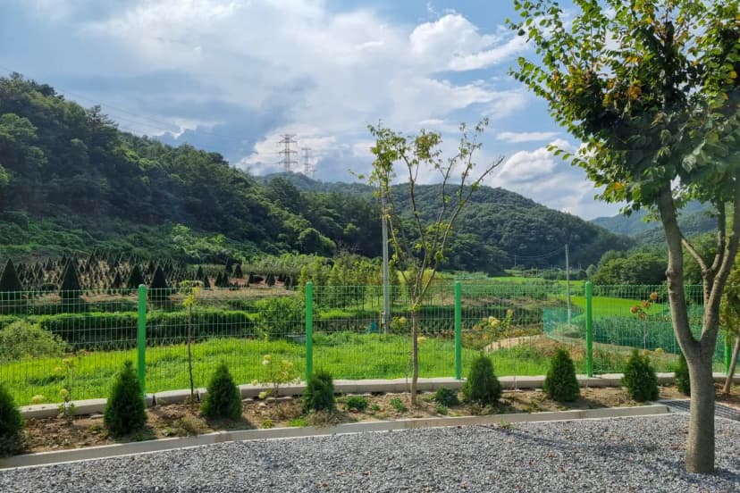 요새불멍 사진 8