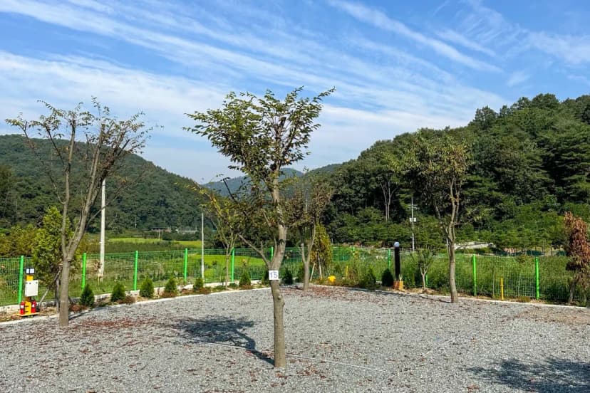 요새불멍 사진 12