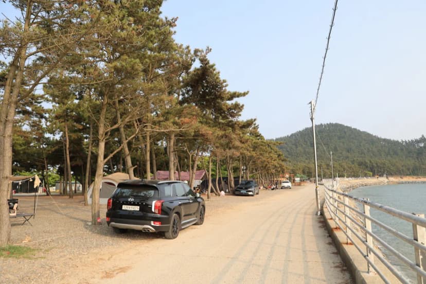 바다풍경관광농원 사진 7