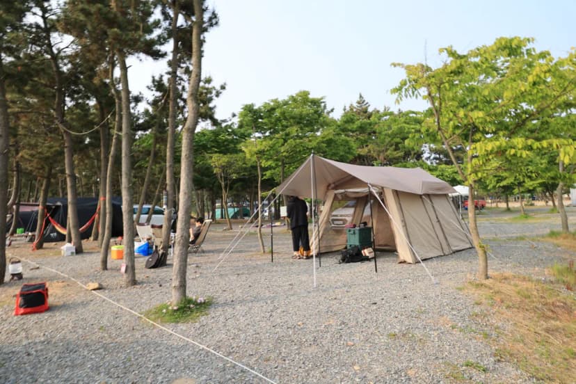 바다풍경관광농원 사진 15