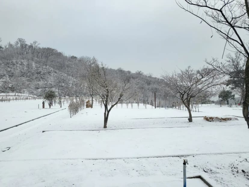 필(FEEL) 캠핑장 사진 5
