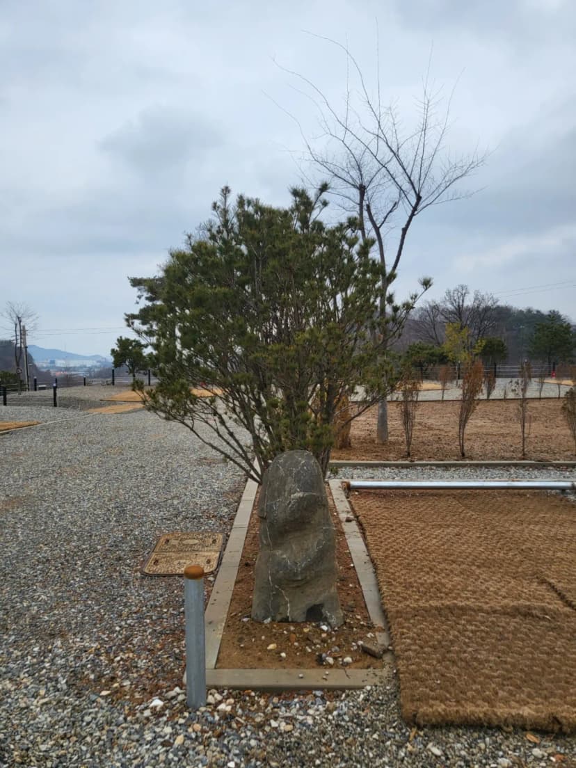 필(FEEL) 캠핑장 사진 15