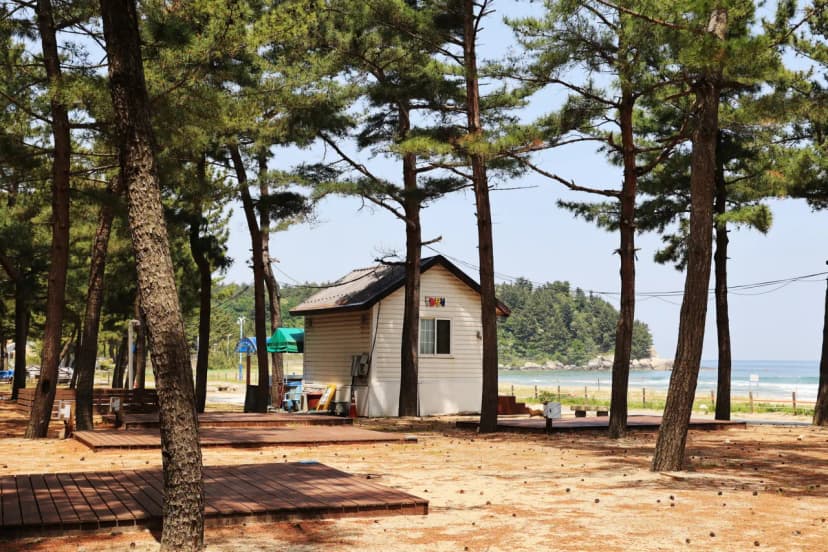 북분솔밭캠핑장 사진 4