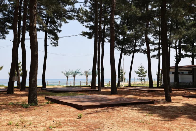 북분솔밭캠핑장 사진 6