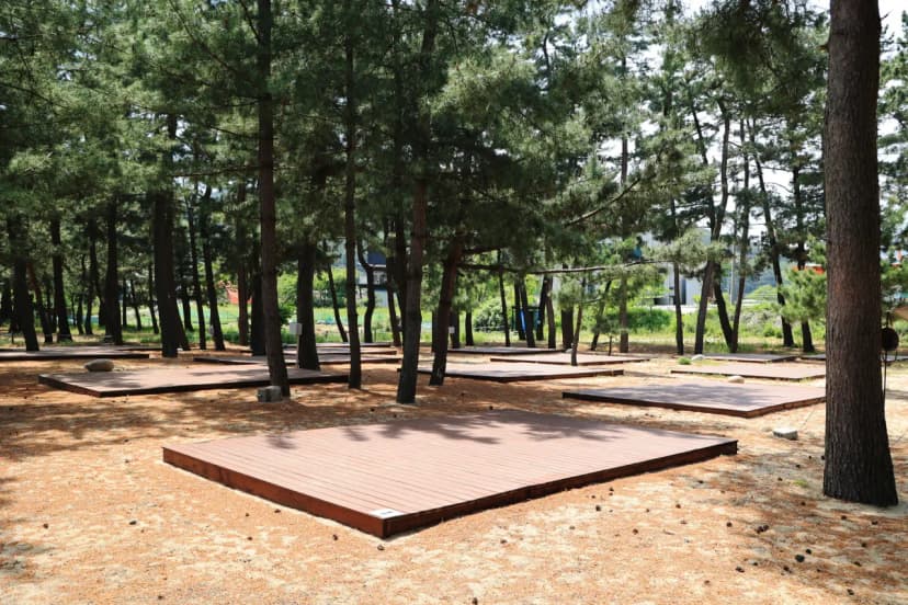 북분솔밭캠핑장 사진 15