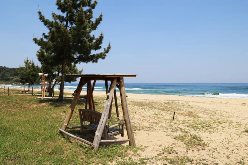 북분솔밭캠핑장 사진 18