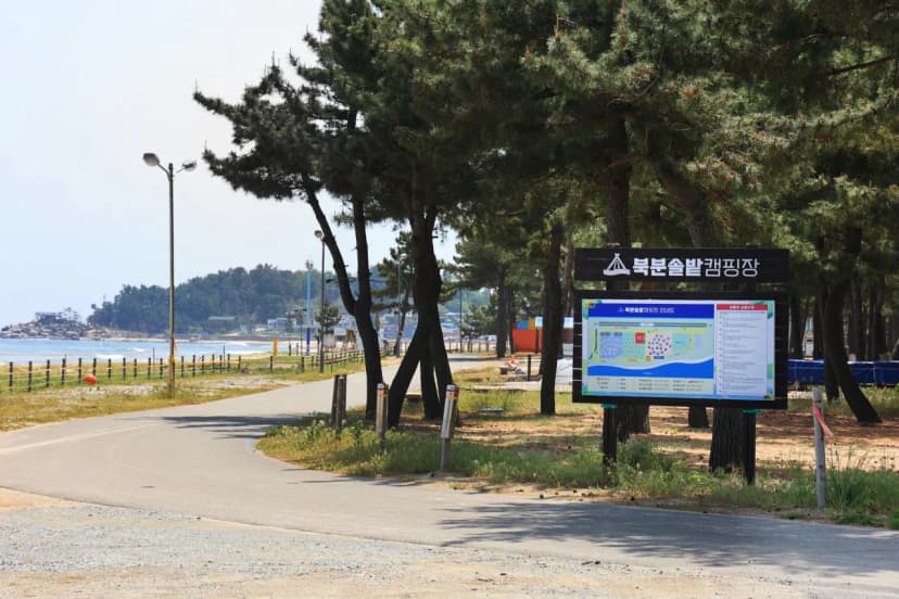 북분솔밭캠핑장 사진 19