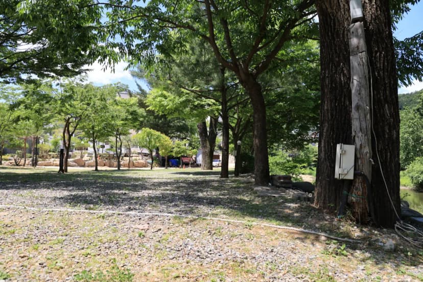 탐선골캠핑장 사진 6