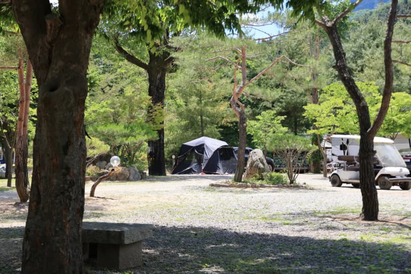 탐선골캠핑장 사진 7