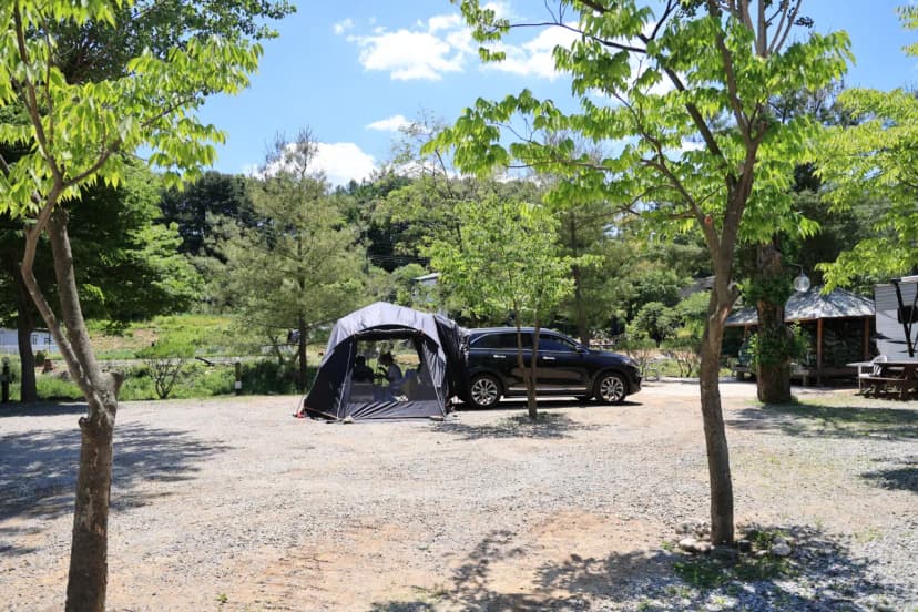 탐선골캠핑장 사진 12