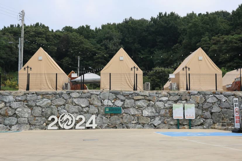 포레스트 도일 사진 3