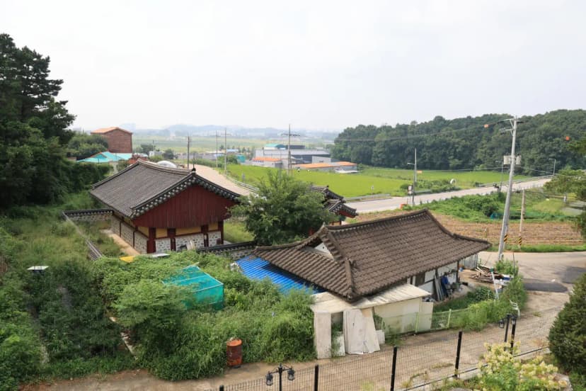 포레스트 도일 사진 7