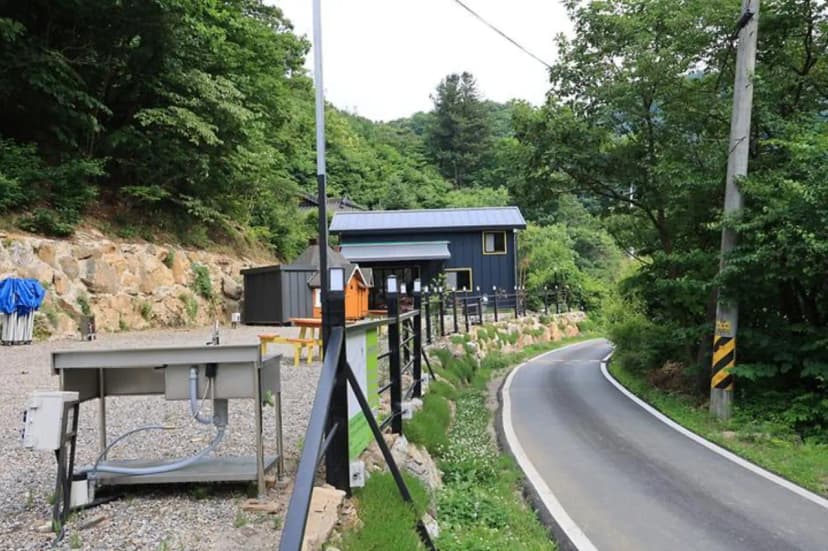 숲속다람쥐 캠프 사진 3