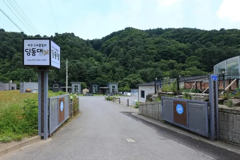 딩동댕캠핑장