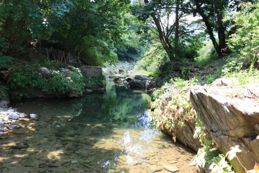 딩동댕캠핑장 사진 11