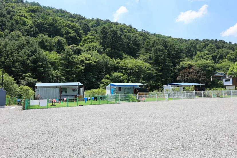 딩동댕캠핑장 사진 12