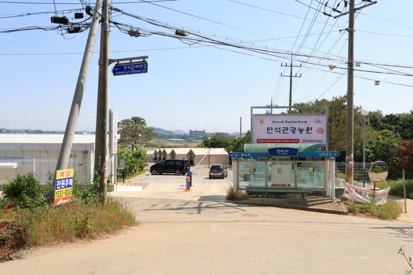 안석관광농원 사진 4