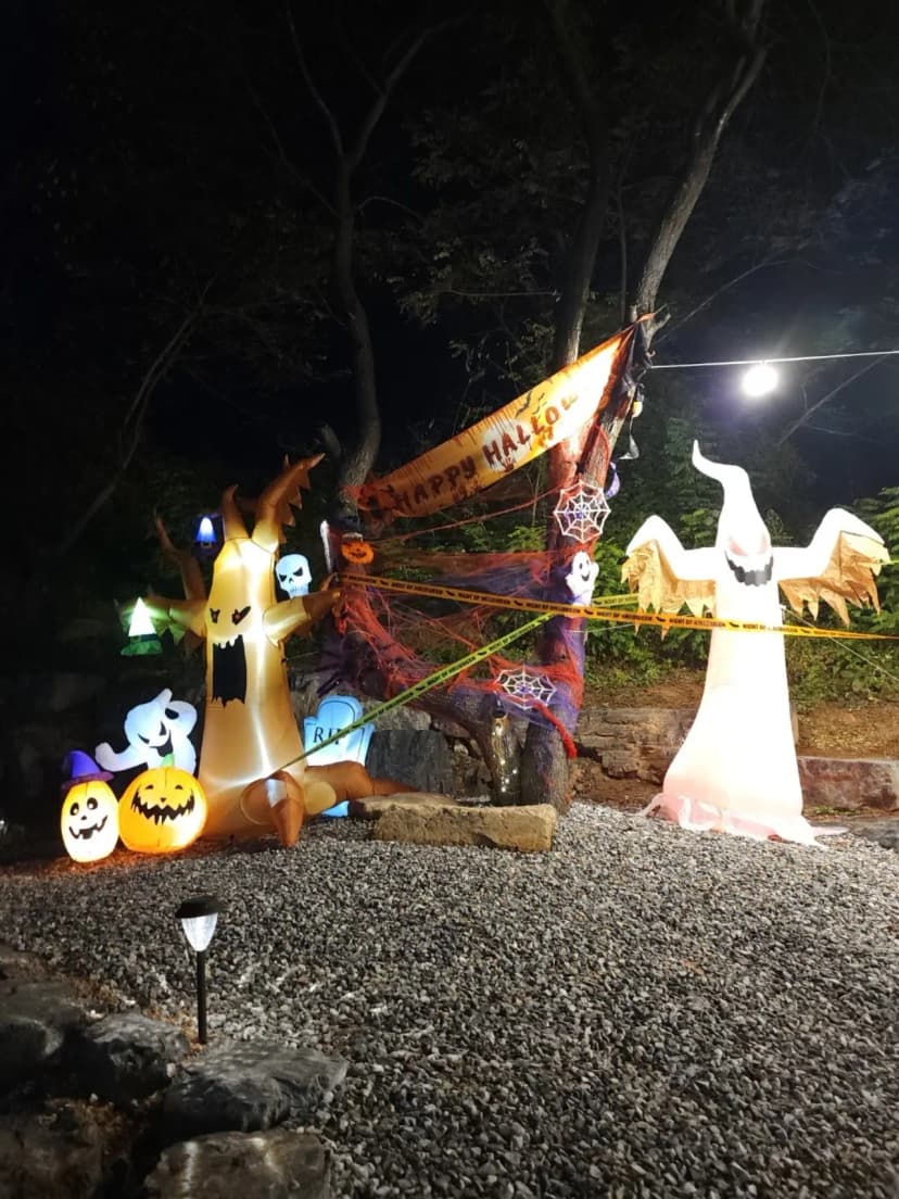 DS Camp 캠핑장 사진 20