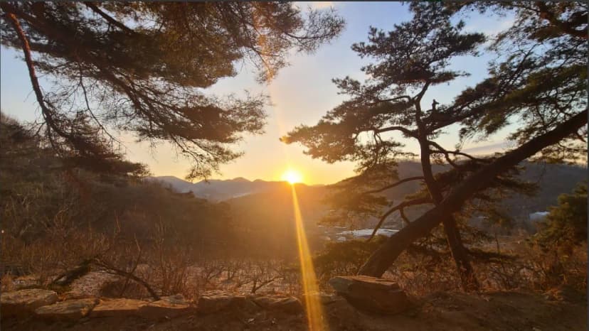 배나무꽃 캠핑장 사진 7