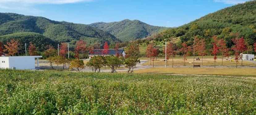 감산 사진 2