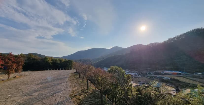 감산 사진 4