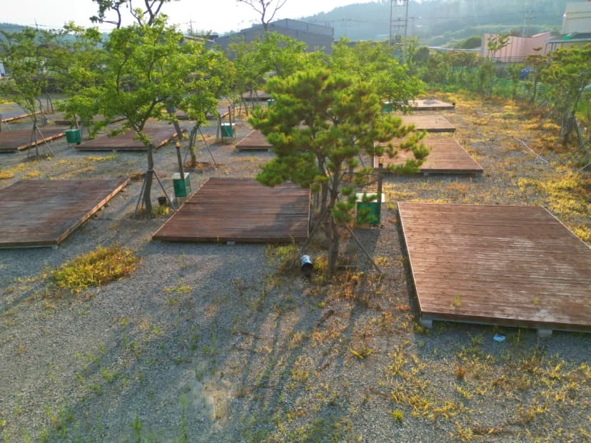 석병관광농원 야영장 사진 13