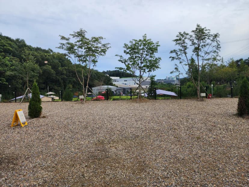 파주 옥돌캠핑장 사진 8
