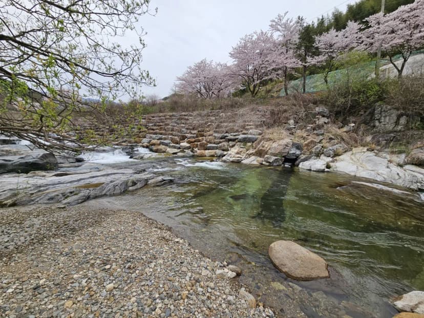 산청 지리산반달캠핑장 사진 9