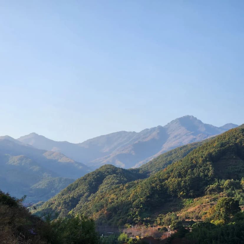산청 지리산반달캠핑장 사진 20