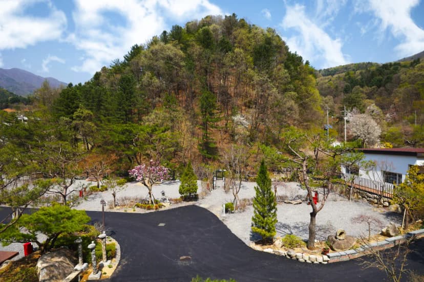 THE BON(더 본) 사진 5